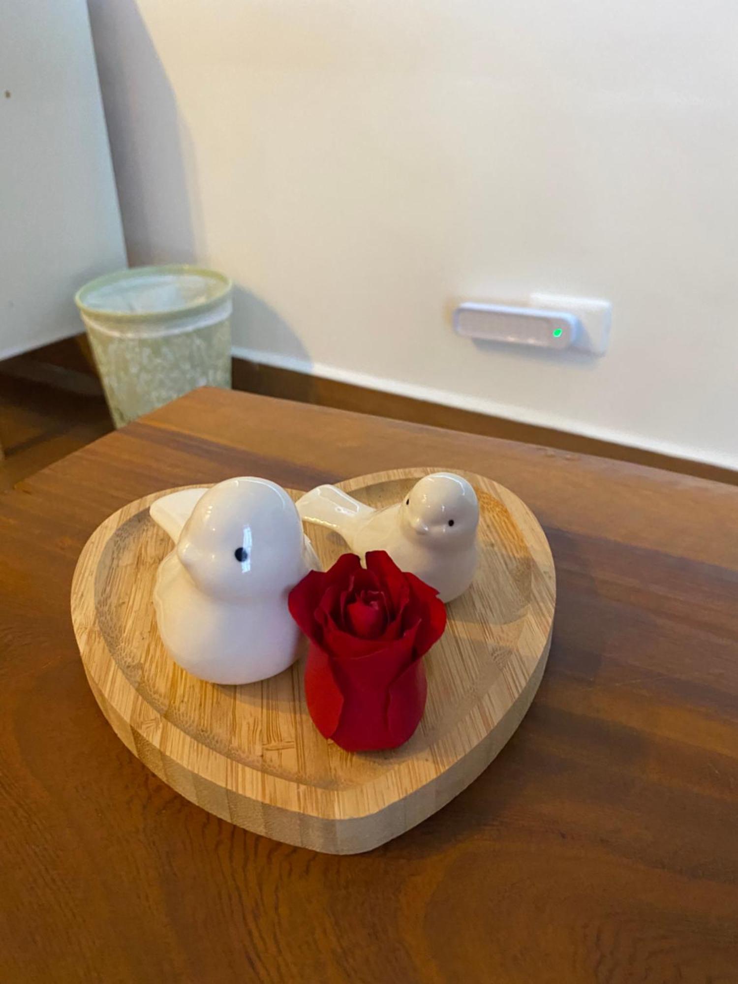 Chale Aconchegante Na Montanha Holiday home